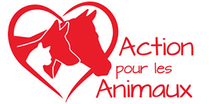 Action pour les animaux